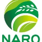 NARO