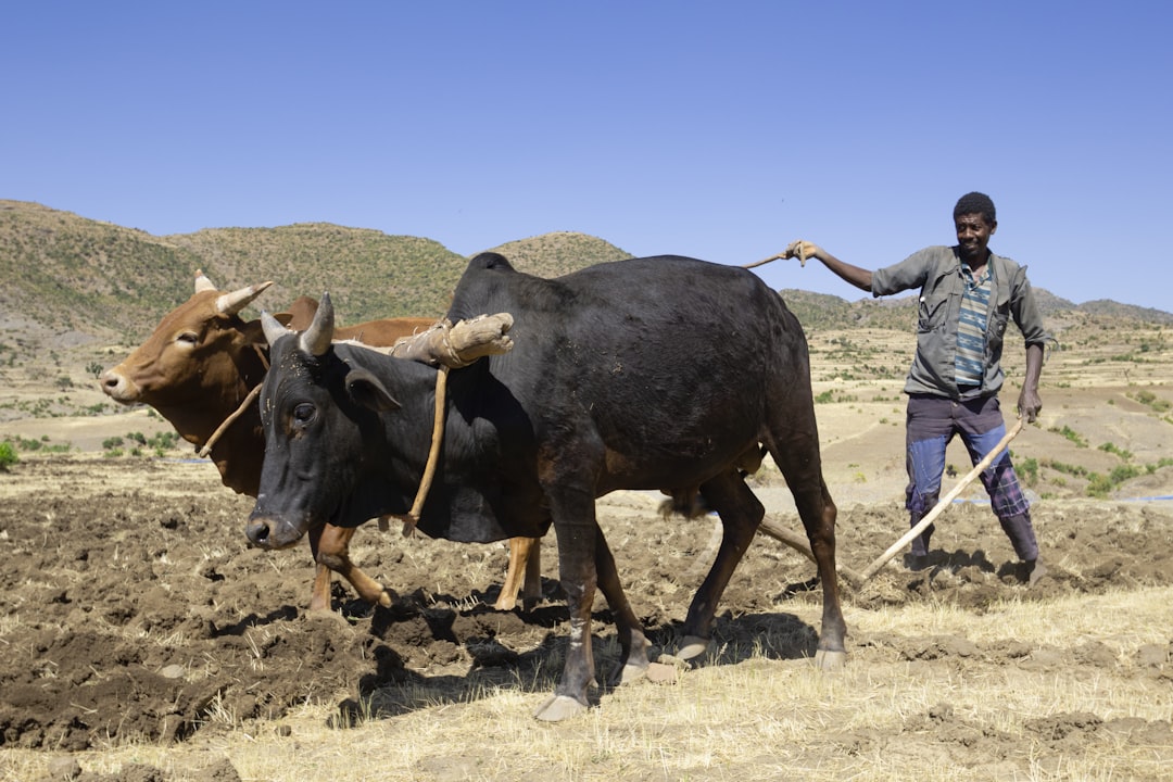 Careers in Agriculture in Uganda