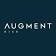 Augment Risk