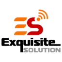 Exquisite Solution
